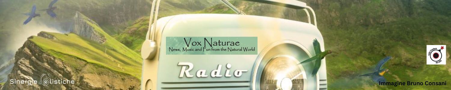 VOX NATURAE